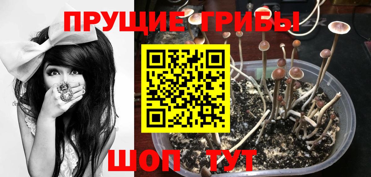 Галлюциногенные грибы Magic Shrooms  Вход с VPN  Урай 